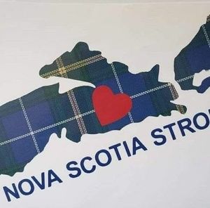 Meet your Posher, Barbie